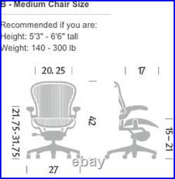 Classic Aeron Chair-Aluminum, Size B