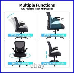 Ergonomic Office Chair 300lb, Desk Chair with Lumbar Support and fill-up arms