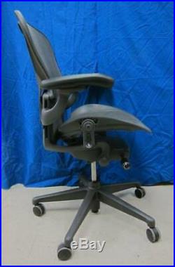 HERMAN MILLER AERON NEW with TAG REMASTERED fully Loaded POSTUREFIT SIZE C Large