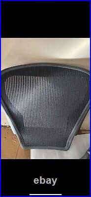 Herman Miller Aeron Back Rest Size C New