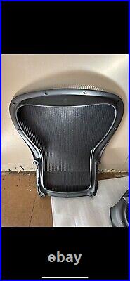 Herman Miller Aeron Back Rest Size C New