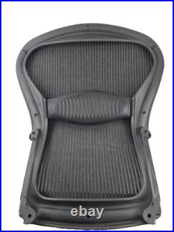Herman Miller Aeron Classic Seat Back Assy OEM Very Clean Size B Used