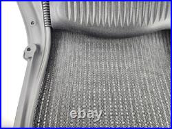 Herman Miller Aeron Classic Seat Back Assy OEM Very Clean Size B Used