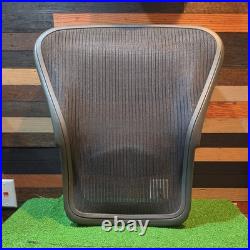 Herman Miller Aeron Classic Size B Complete Mesh Seat Back with Lumbar Support