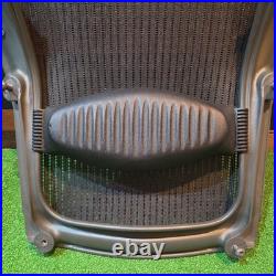 Herman Miller Aeron Classic Size B Complete Mesh Seat Back with Lumbar Support