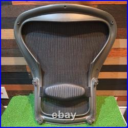 Herman Miller Aeron Classic Size B Complete Mesh Seat Back with Lumbar Support