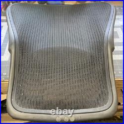 Herman Miller Aeron Classic Size B Complete Mesh Seat Back with Lumbar Support OEM