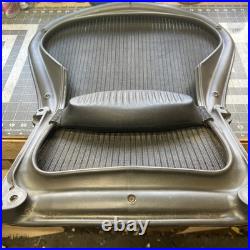 Herman Miller Aeron Classic Size B Complete Mesh Seat Back with Lumbar Support OEM