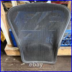 Herman Miller Aeron Classic Size B Complete Mesh Seat Back with Lumbar Support OEM