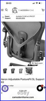 Herman Miller Aeron PostureFit SL Support Kit OEM Size B