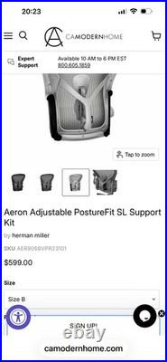 Herman Miller Aeron PostureFit SL Support Kit OEM Size B