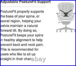 Herman Miller Aeron PostureFit Support Kit Add-On Graphite Size B
