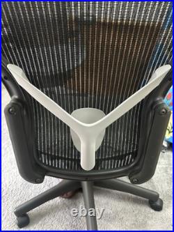 Herman Miller Aeron REMASTERED Size B Posture Fit Back Support Mineral In Color
