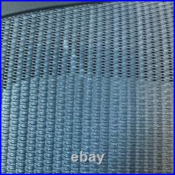 Herman Miller Aeron REMASTERED Size C Backrest Replacement -New With Tear On Mesh