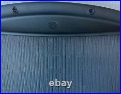 Herman Miller Aeron REMASTERED Size C Backrest Replacement -New With Tear On Mesh