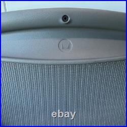 Herman Miller Aeron Remastered Size B Back Rest Replacement New OEM CRB Color
