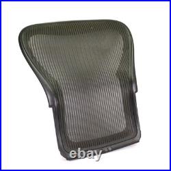 Herman Miller Aeron Size C PostureFit SL Back Support Office Chair Back