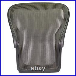 Herman Miller Aeron Size C PostureFit SL Back Support Office Chair Back