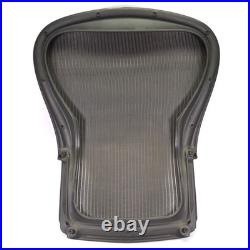 Herman Miller Aeron Size C PostureFit SL Back Support Office Chair Back