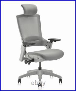 Herman Miller Aeron Titanium with Posturefit Size B Fully Loaded