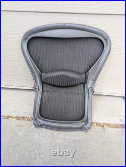 Herman Miller Classic Aeron Back Frame Mesh Replacement Size B OEM Lumbar Screws