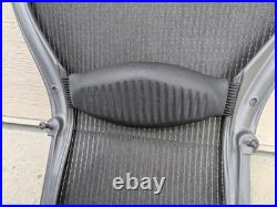 Herman Miller Classic Aeron Back Frame Mesh Replacement Size B OEM Lumbar Screws