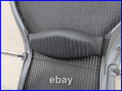 Herman Miller Classic Aeron Back Frame Mesh Replacement Size B OEM Lumbar Screws