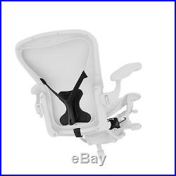 Herman Miller Classic Aeron Chair PostureFit Support Kit Graphite Size B