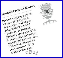 Herman Miller Classic Aeron Chair PostureFit Support Kit Graphite Size B