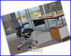 Herman Miller Classic Aeron Chair PostureFit Support Kit Graphite Size C