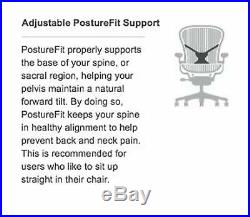 Herman Miller Classic Aeron Office Chair PostureFit Support Kit in Graphite
