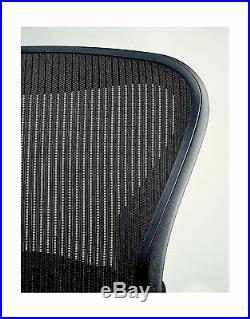 Herman Miller Classic Aeron Office Chair PostureFit Support Kit in Graphite