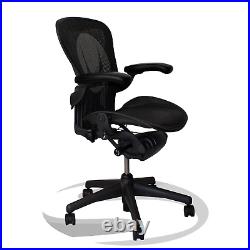 Rare Herman Miller Aeron Chair Logo Back Posturefit Fully Loaded